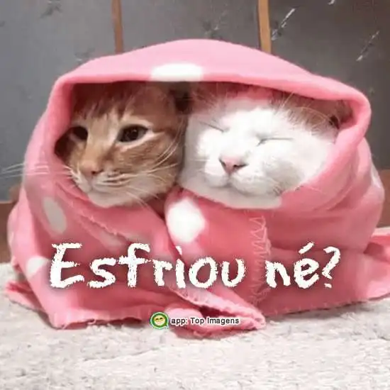 Esfriou né?