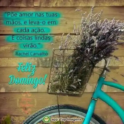 Feliz domingo