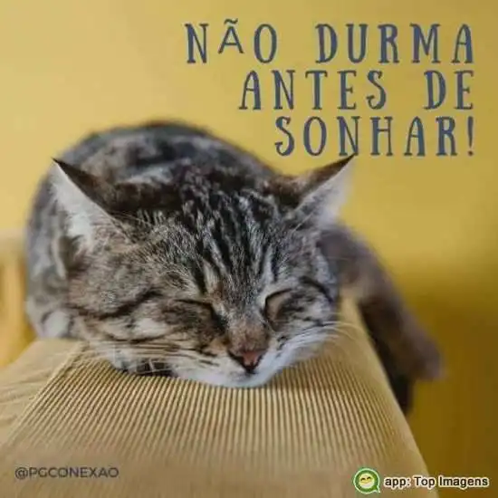 Não durma antes