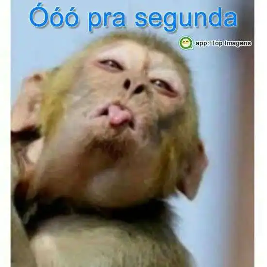 Ó pra segunda