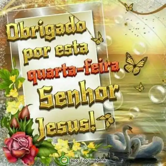 Obrigado por essa quarta-feira