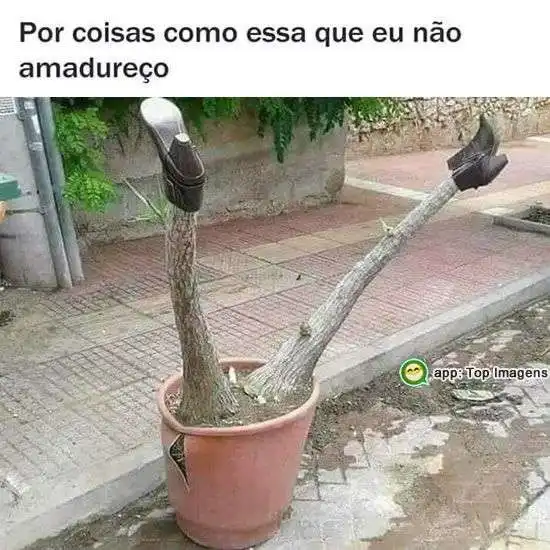 Por isso não amadureço
