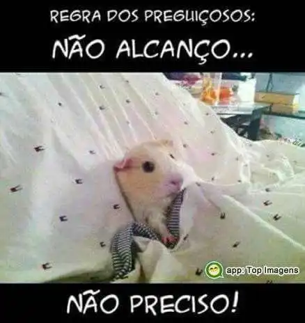 Regra dos preguiçosos