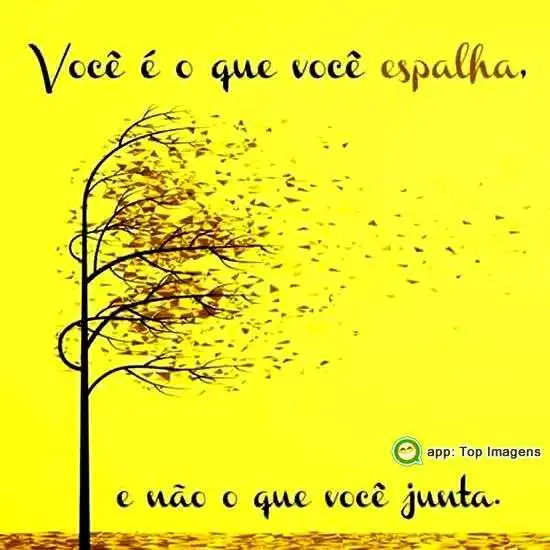 Você é o que você espalha