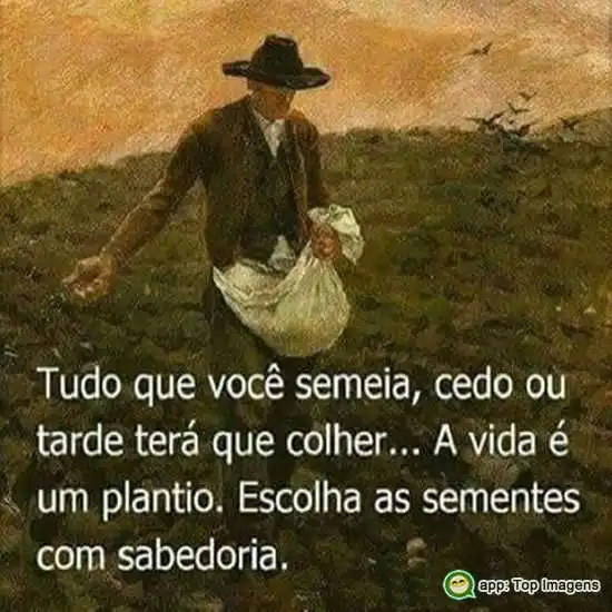 A vida é um plantio