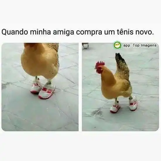 Amiga de tênis novo