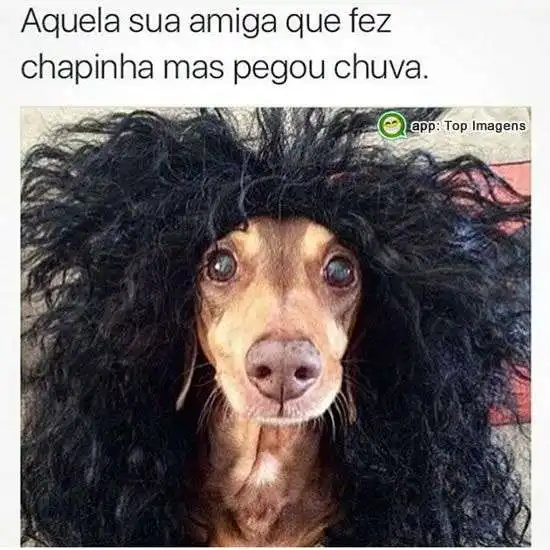 Amiga que fez chapinha