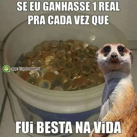 Besta na vida