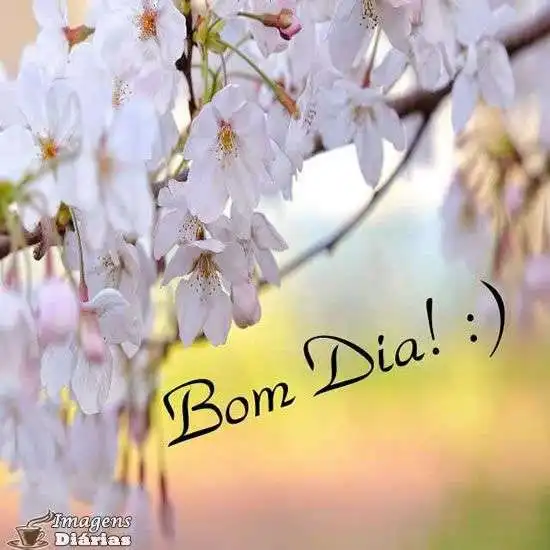 Bom dia