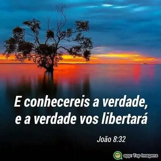Conhecereis a verdade