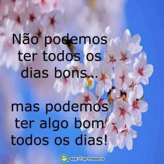 Dias bons