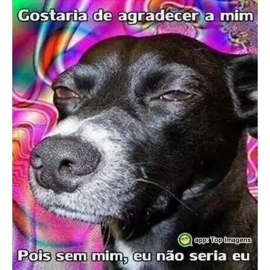 Gostaria de agradecer