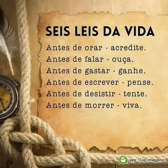 Leis da vida