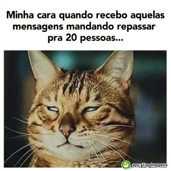 Mensagem pra repassar
