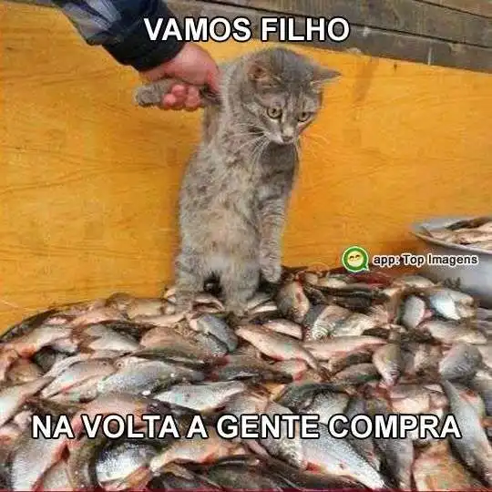 Na volta a gente compra