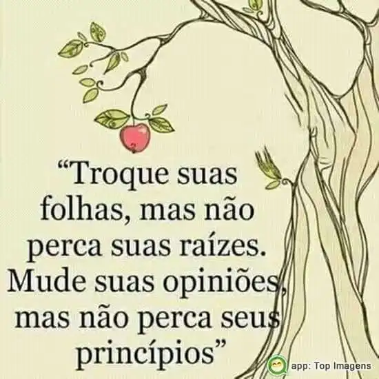 Não perca seus princípios