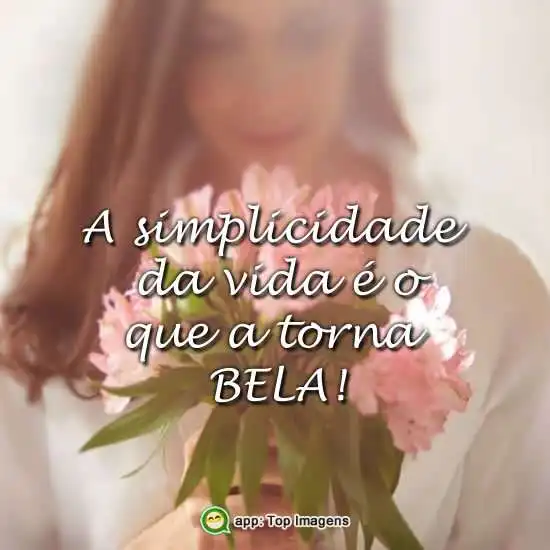 Simplicidade da vida