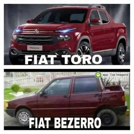 Toro e bezerro