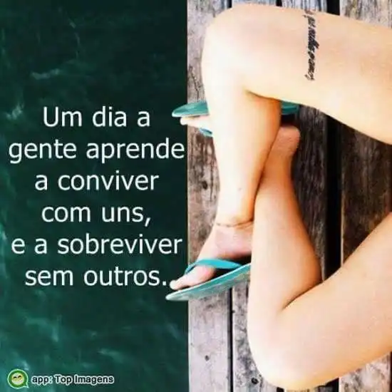 Um dia a gente aprende