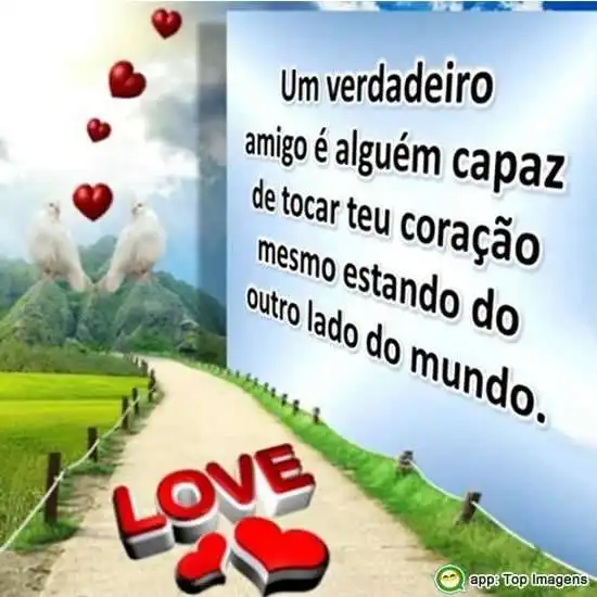 Verdadeiro amigo