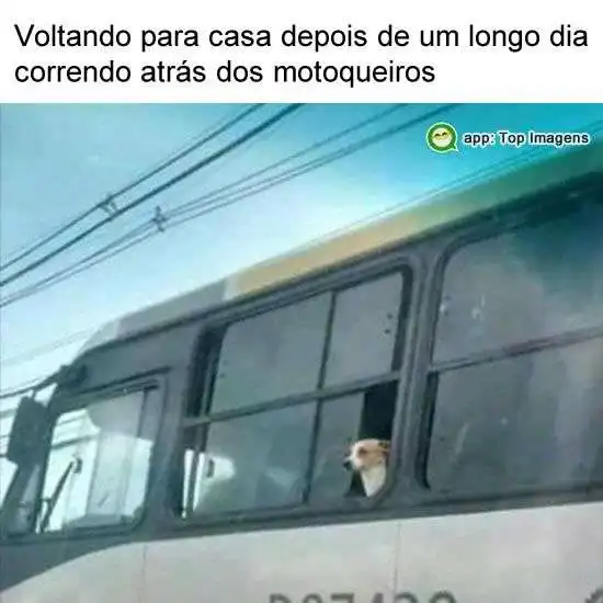 Voltando para casa