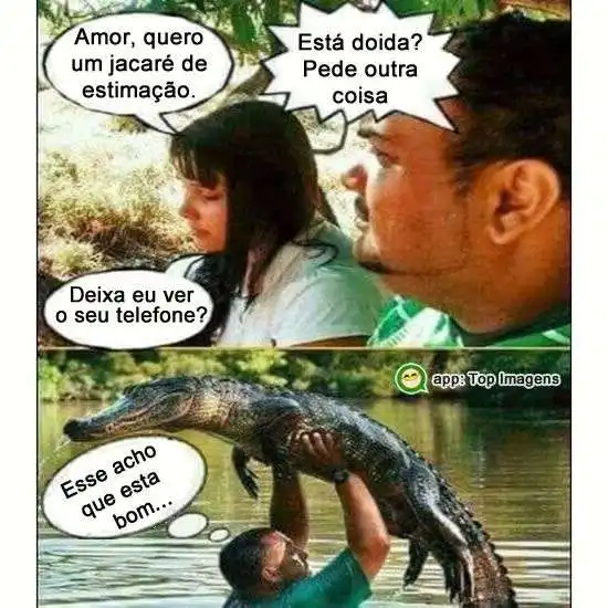 Animal de estimação