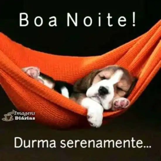 Boa noite