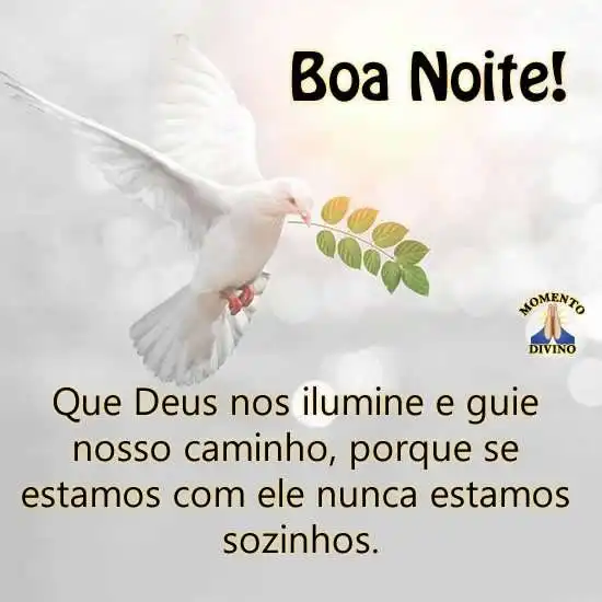 Boa noite