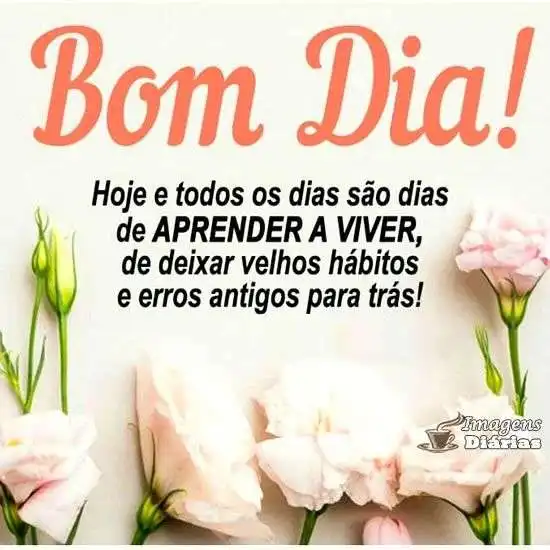 Bom dia
