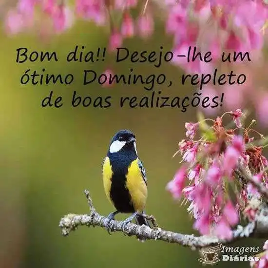 Bom dia