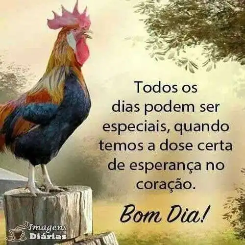Bom dia
