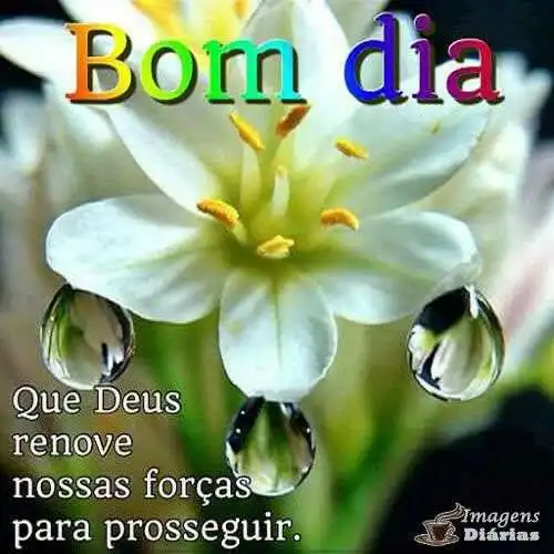 Bom dia
