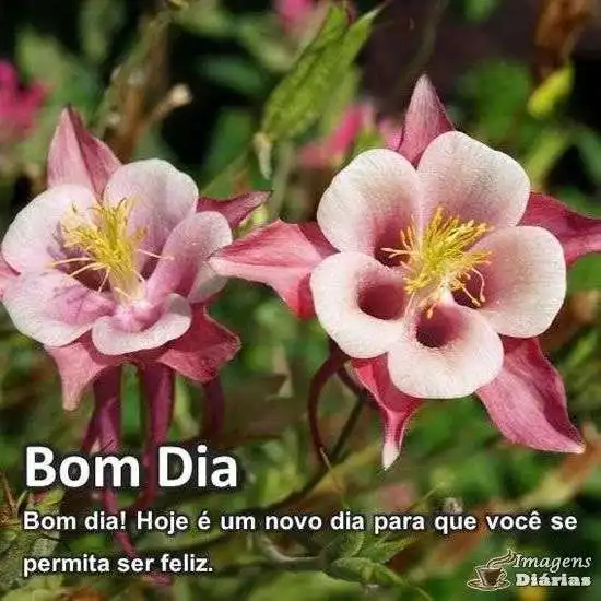 Bom dia