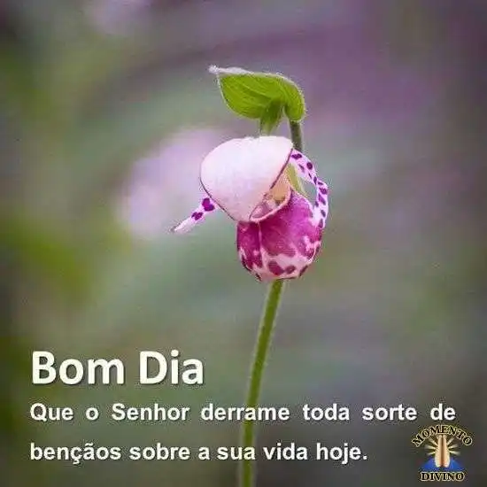 Bom dia