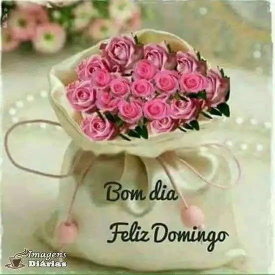 Bom dia e feliz domingo