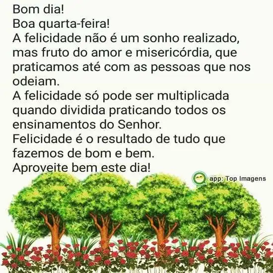 Bom dia quarta-feira