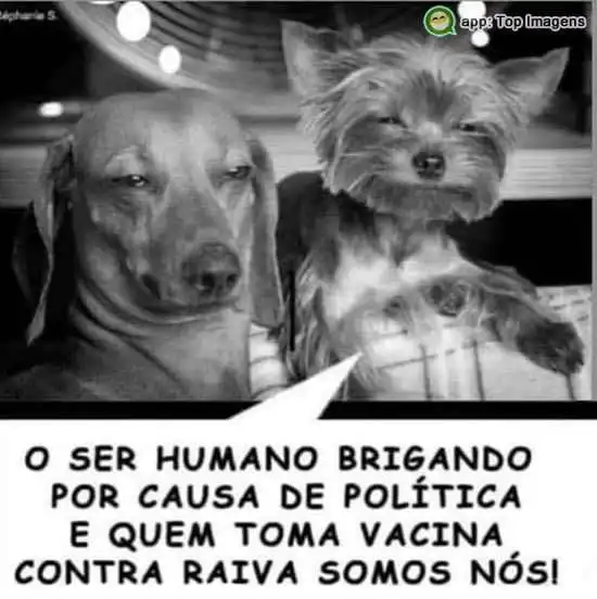 Brigando por política