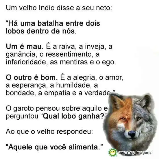 Dois lobos dentro de nós