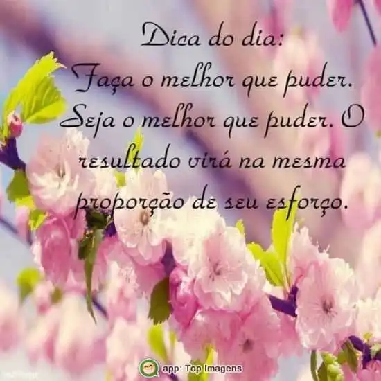 Faça o melhor que puder