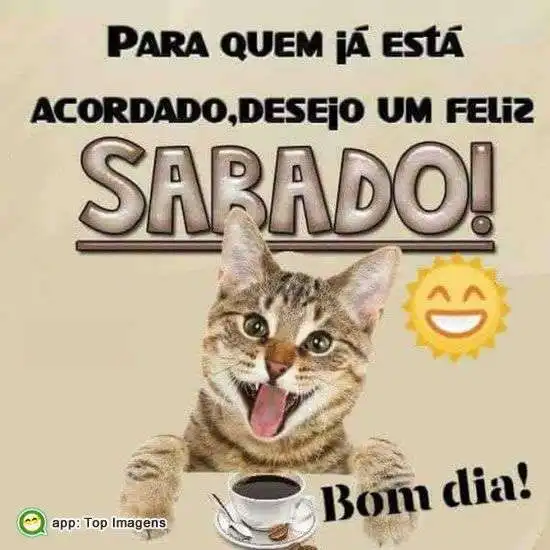 Feliz sábado