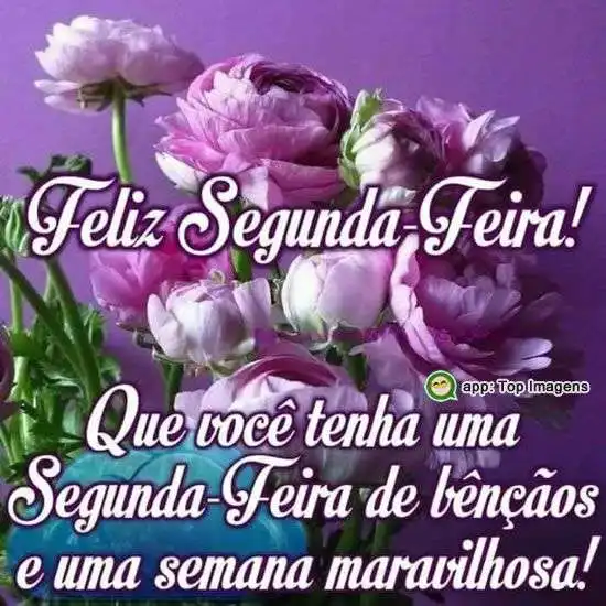 Feliz segunda-feira