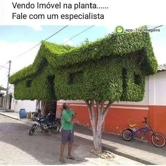 Imóvel na planta