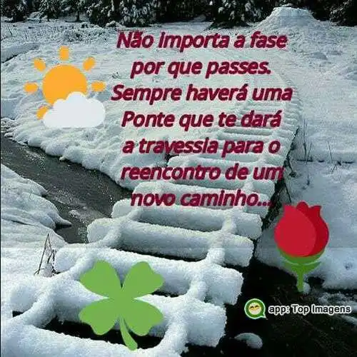 Novo caminho