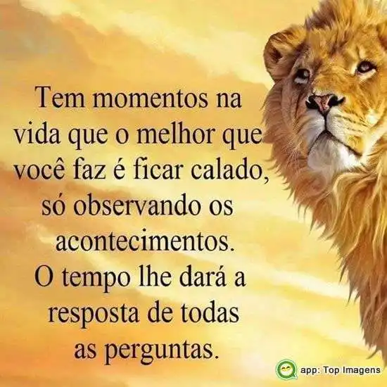 O tempo dará as respostas