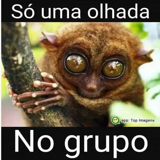 Olhada no grupo