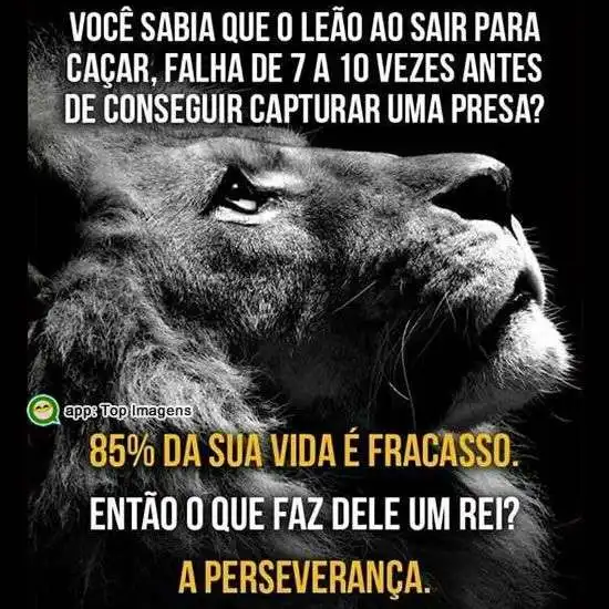 Perseverança