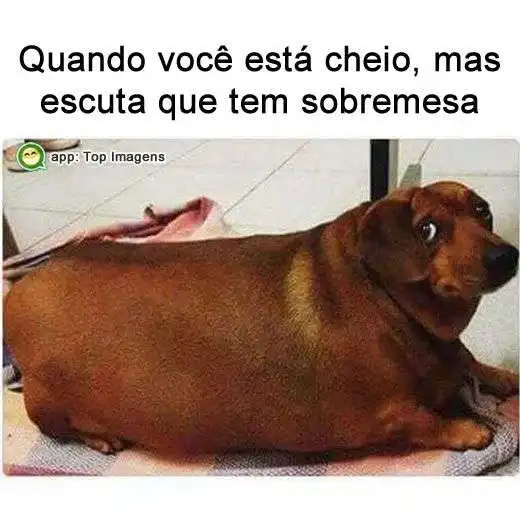 Quando está cheio