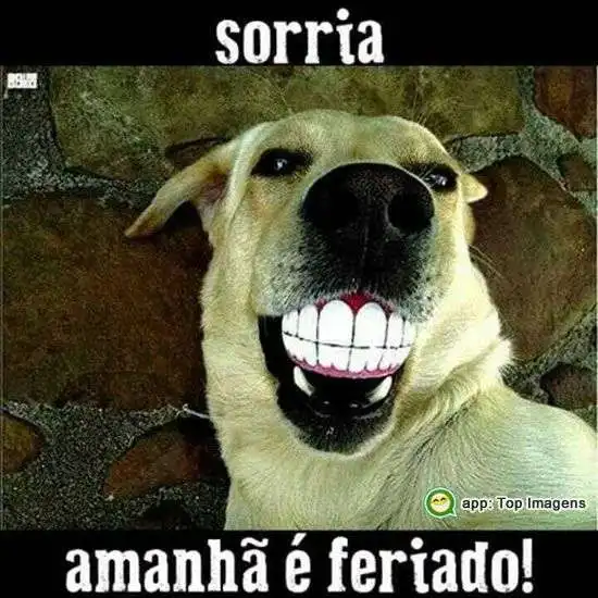 Sorria amanhã é feriado