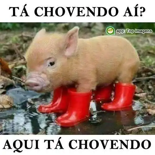 Tá chovendo aí?