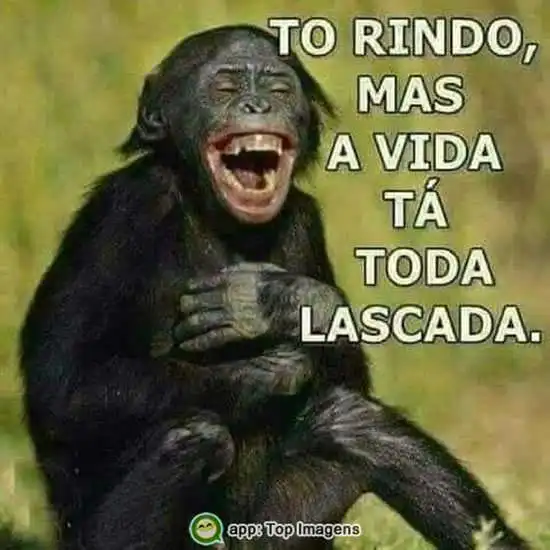 Vida lascada